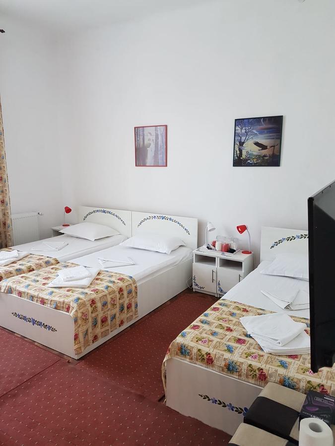 Pensiunea Geostar 2 Curtea De Arges Exterior photo